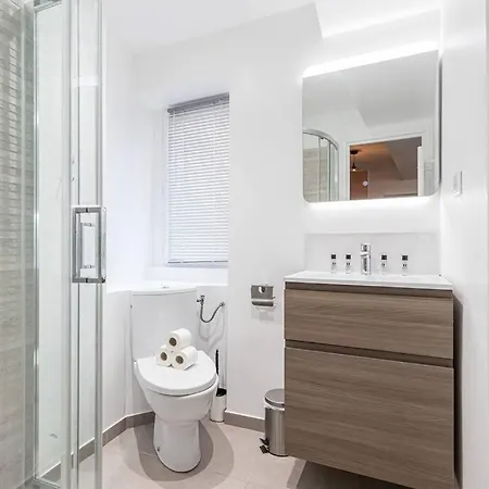 Superbe Climatise - Vieux Appartement Nice