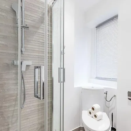 Superbe Climatise - Vieux Appartement Nice